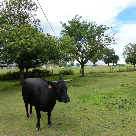 De La Mini Ferme, Animaux Bienvenus, Wifi, Jardin, 4-6 Pers - Fr-1-489-121 Semesterbostad