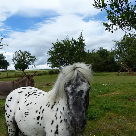 De La Mini Ferme, Animaux Bienvenus, Wifi, Jardin, 4-6 Pers - Fr-1-489-121 Semesterbostad