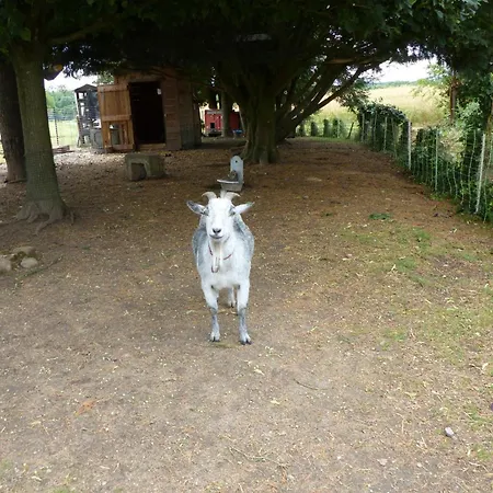 De La Mini Ferme, Animaux Bienvenus, Wifi, Jardin, 4-6 Pers - Fr-1-489-121 * Saligny-sur-Roudon