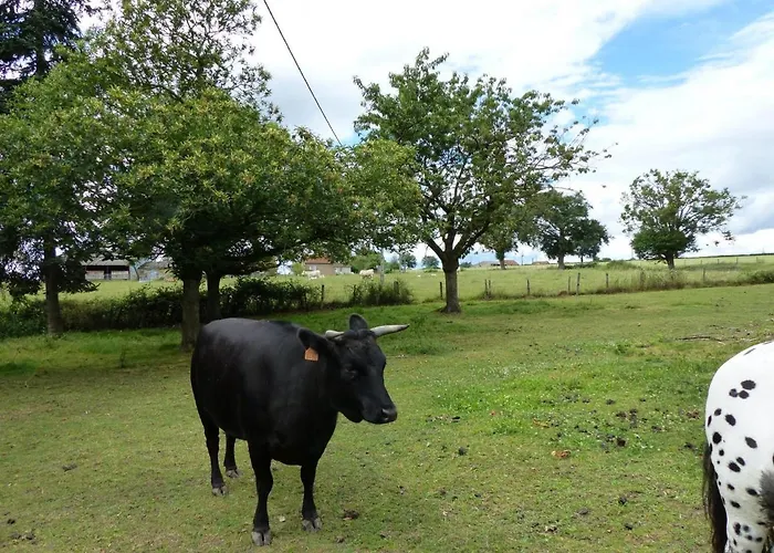 De La Mini Ferme, Animaux Bienvenus, Wifi, Jardin, 4-6 Pers - Fr-1-489-121 펜션